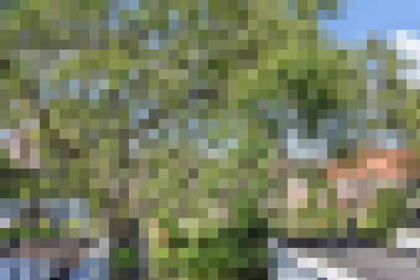 Hoge Zand 25 A Den Haag thumbnail 29