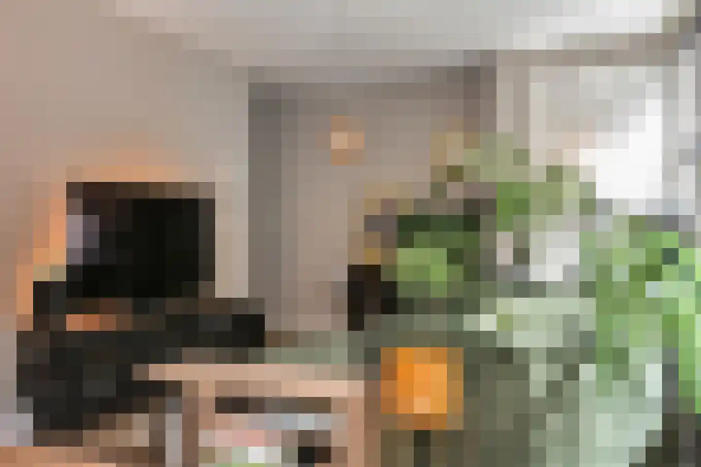 Hoge Zand 25 A Den Haag thumbnail 9