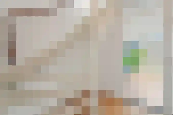 Hoge Zand 56 B Den Haag thumbnail 18