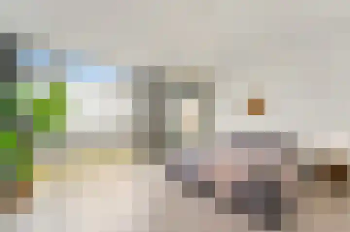 Hoge Zand 56 B Den Haag thumbnail 23