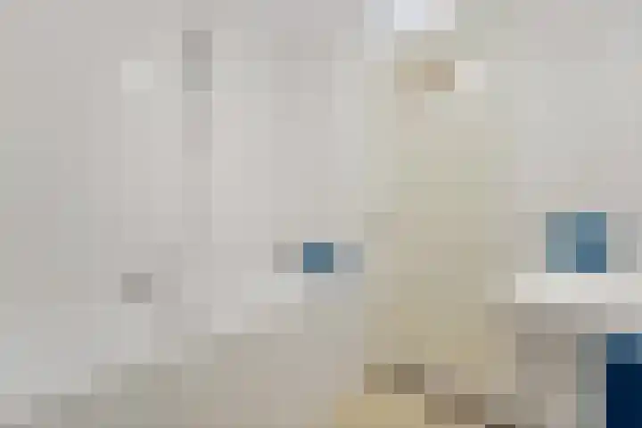 Hoge Zand 56 B Den Haag thumbnail 27