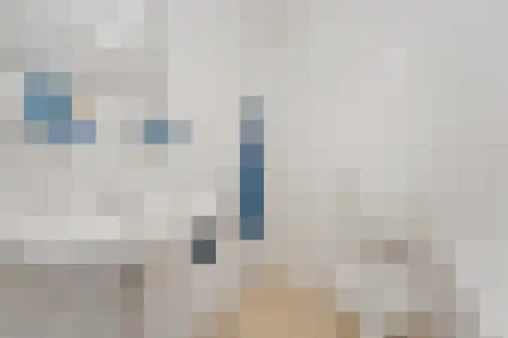 Hoge Zand 56 B Den Haag thumbnail 29