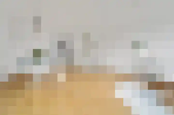 Hoge Zand 56 B Den Haag thumbnail 35