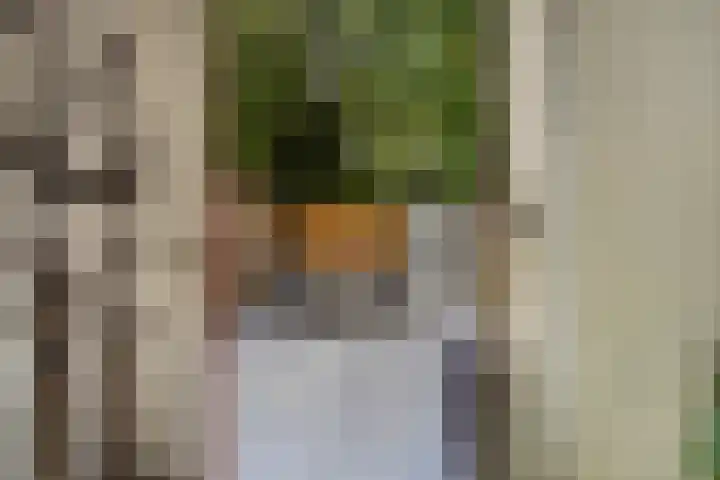 Hoge Zand 94 A Den Haag thumbnail 14