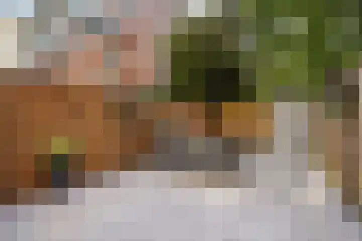 Hoge Zand 94 A Den Haag thumbnail 15