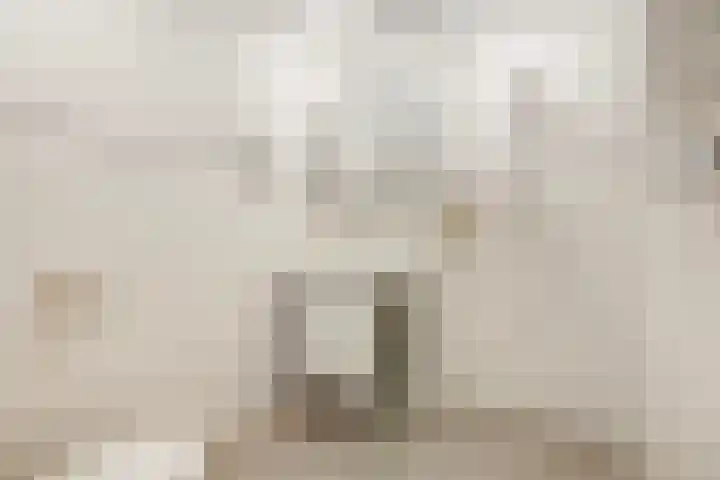 Hoge Zand 94 A Den Haag thumbnail 31