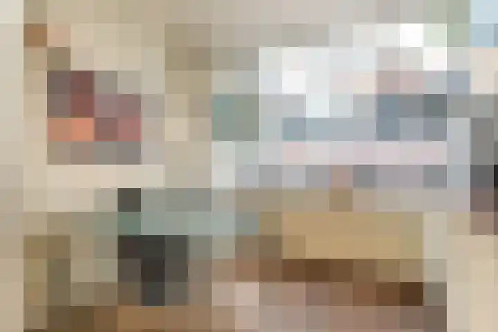 Hoge Zand 94 Den Haag thumbnail 12