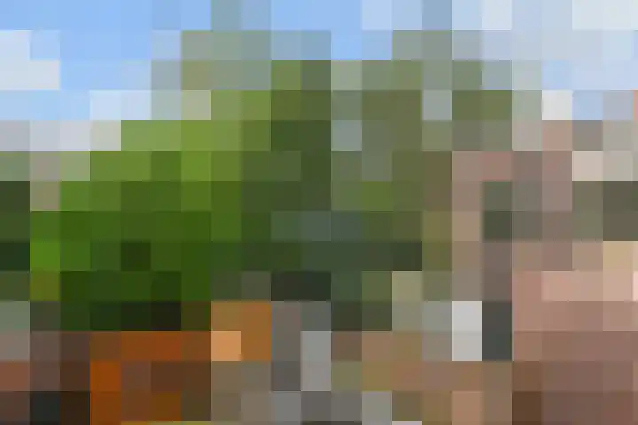 Hoge Zand 94 Den Haag thumbnail 34