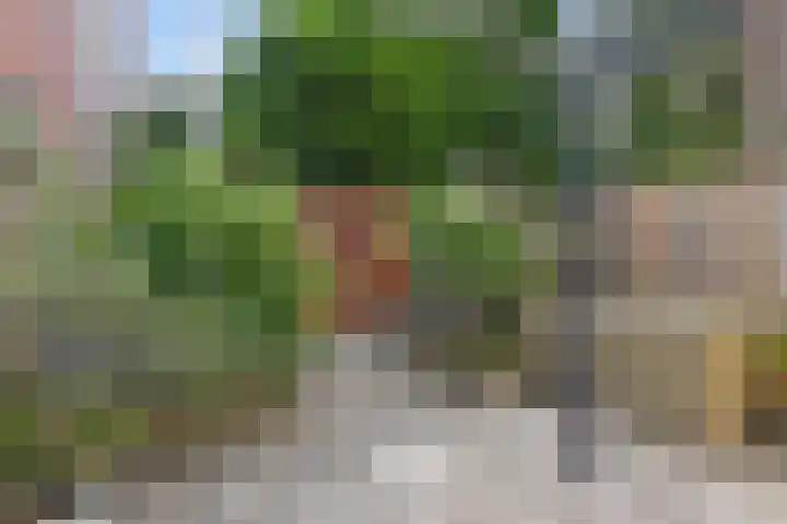 Hoge Zand 94 Den Haag thumbnail 35