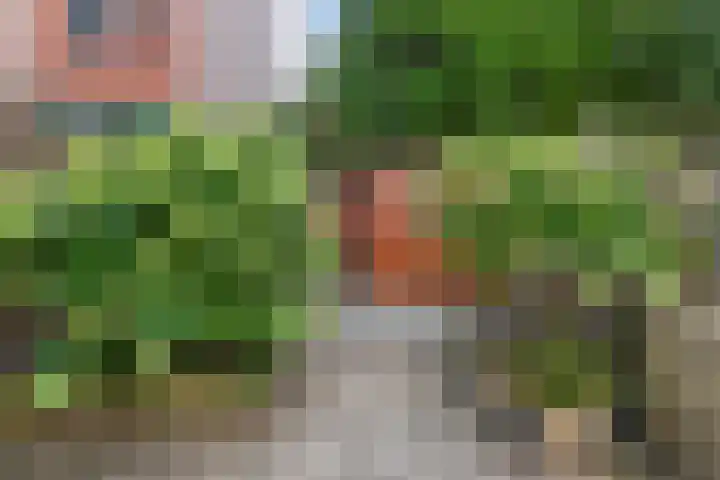 Hoge Zand 94 Den Haag thumbnail 36