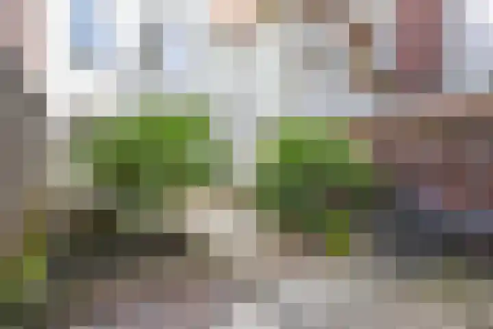 Hoge Zand 94 Den Haag thumbnail 39