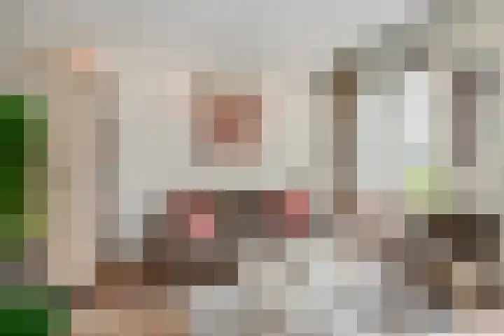 Hoge Zand 94 Den Haag thumbnail 4