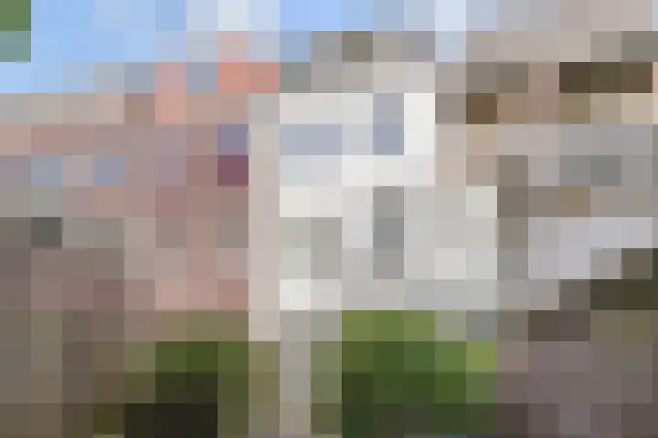 Hoge Zand 94 Den Haag thumbnail 41