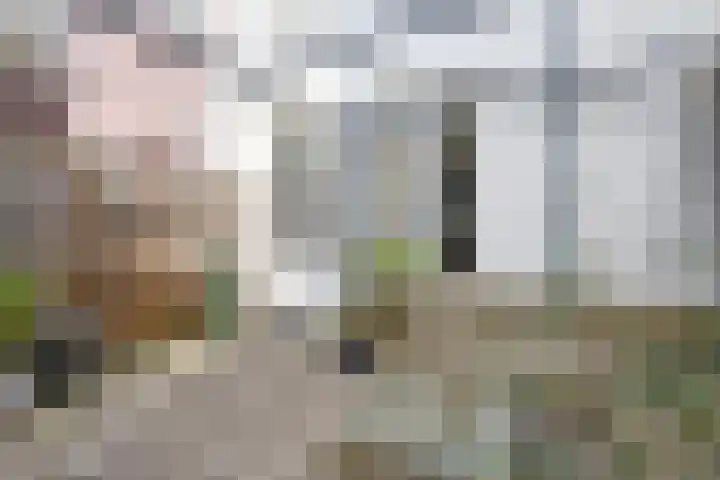 Hoge Zand 94 Den Haag thumbnail 43