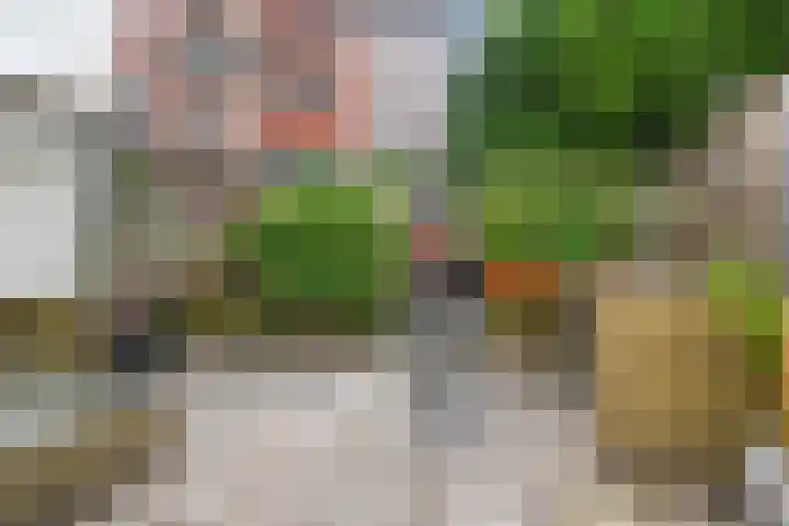 Hoge Zand 94 Den Haag thumbnail 44