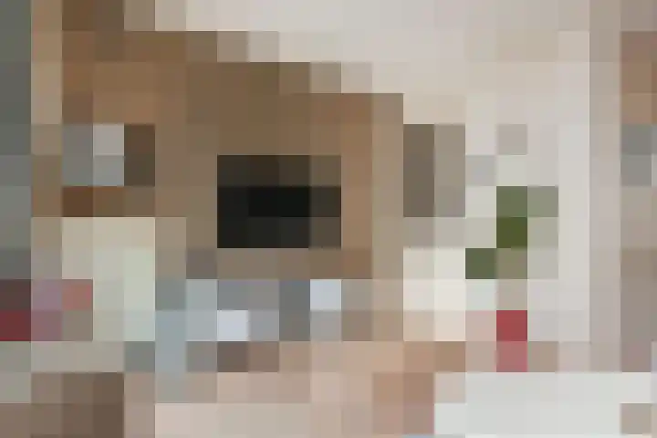 Hoge Zand 94 Den Haag thumbnail 6