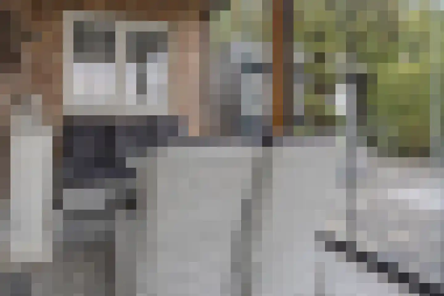 Hoge Zeedijk 54 Langeweg thumbnail 39