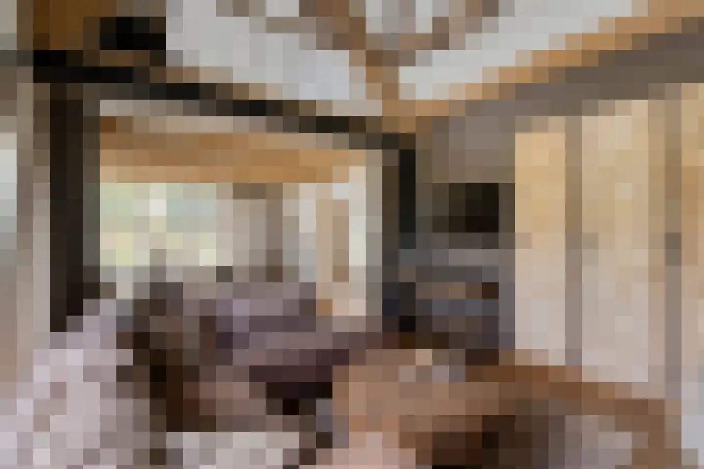 Hoge Zeedijk 56 Langeweg thumbnail 10