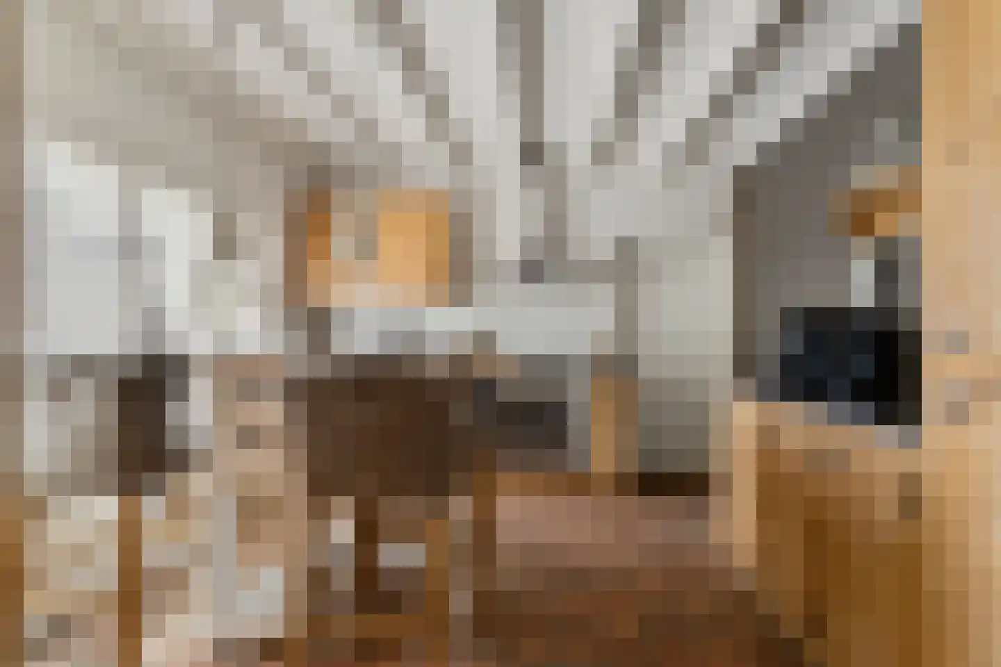 Hoge Zeedijk 56 Langeweg thumbnail 14