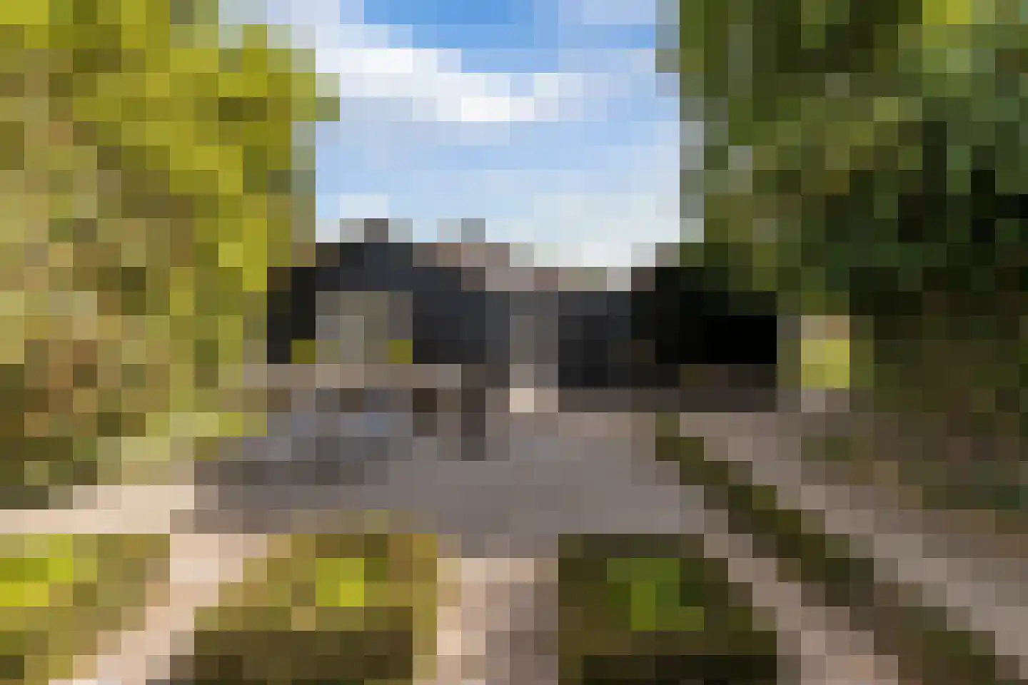 Hoge Zeedijk 56 Langeweg foto 2