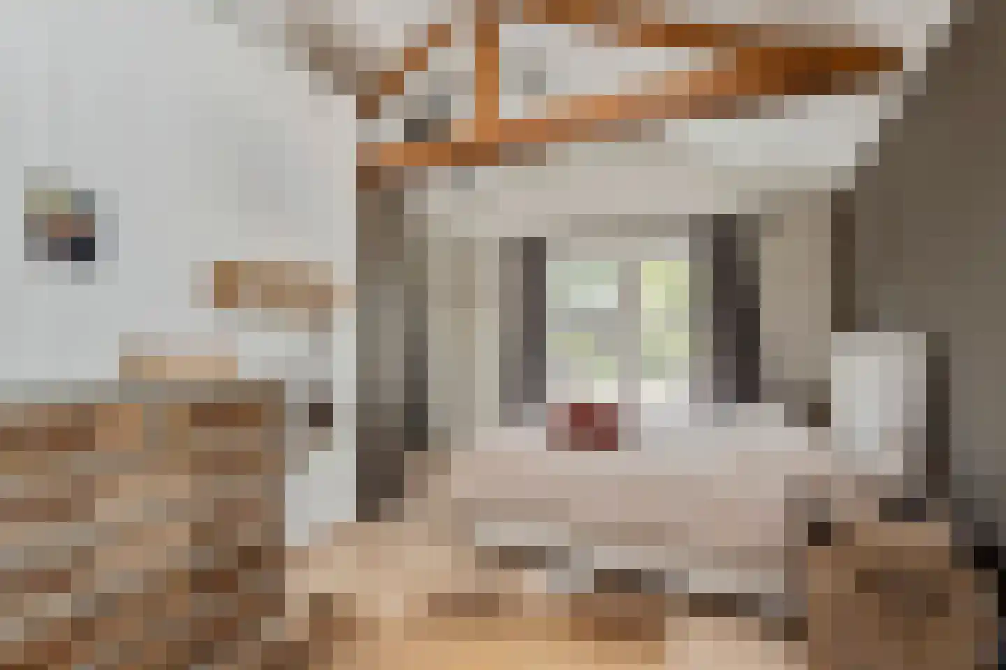 Hoge Zeedijk 56 Langeweg thumbnail 20
