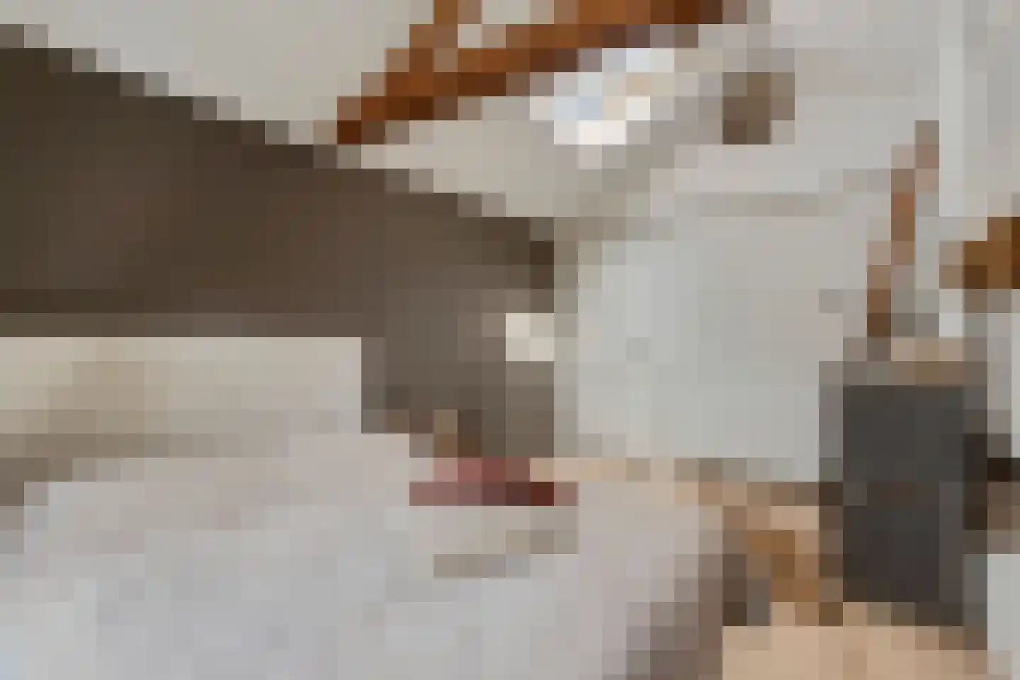 Hoge Zeedijk 56 Langeweg thumbnail 21