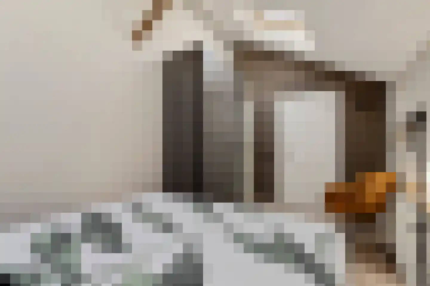 Hoge Zeedijk 56 Langeweg thumbnail 24