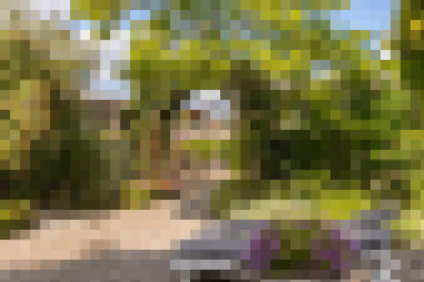 Hoge Zeedijk 56 Langeweg thumbnail 25
