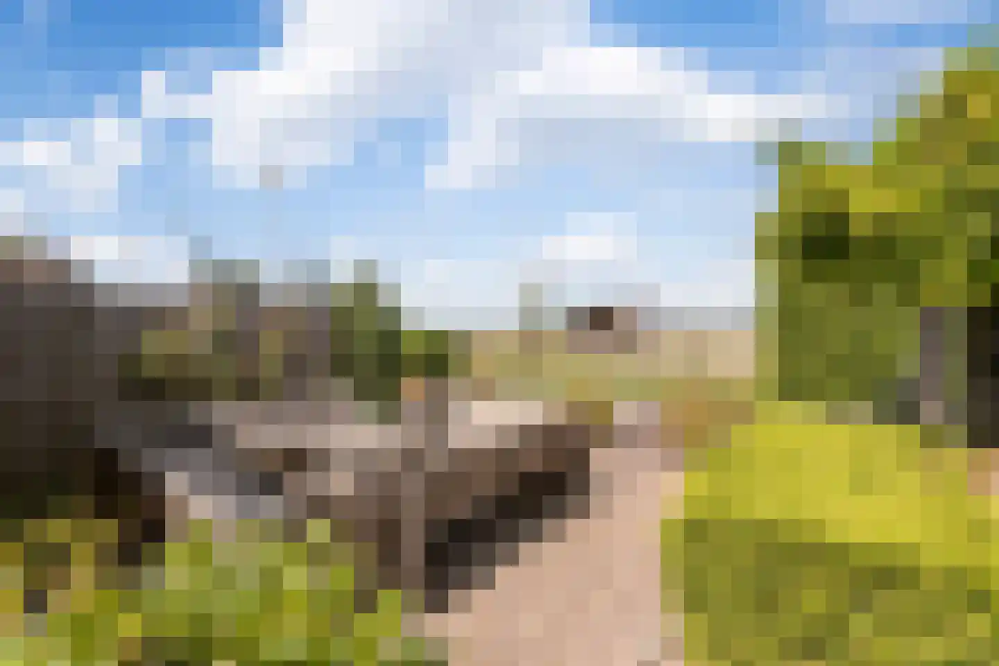 Hoge Zeedijk 56 Langeweg thumbnail 26