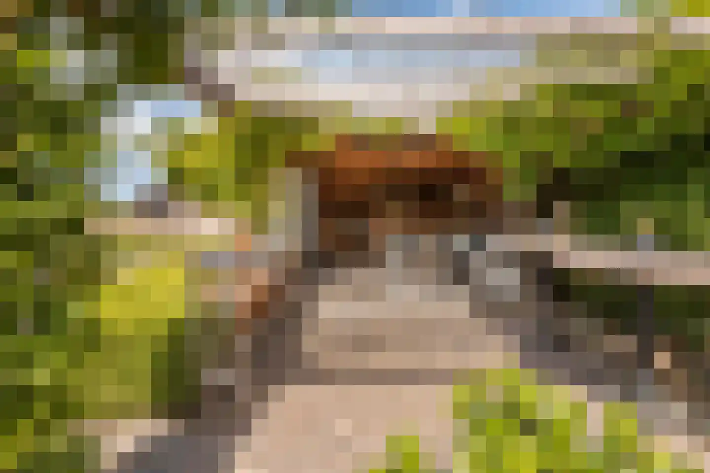 Hoge Zeedijk 56 Langeweg thumbnail 28