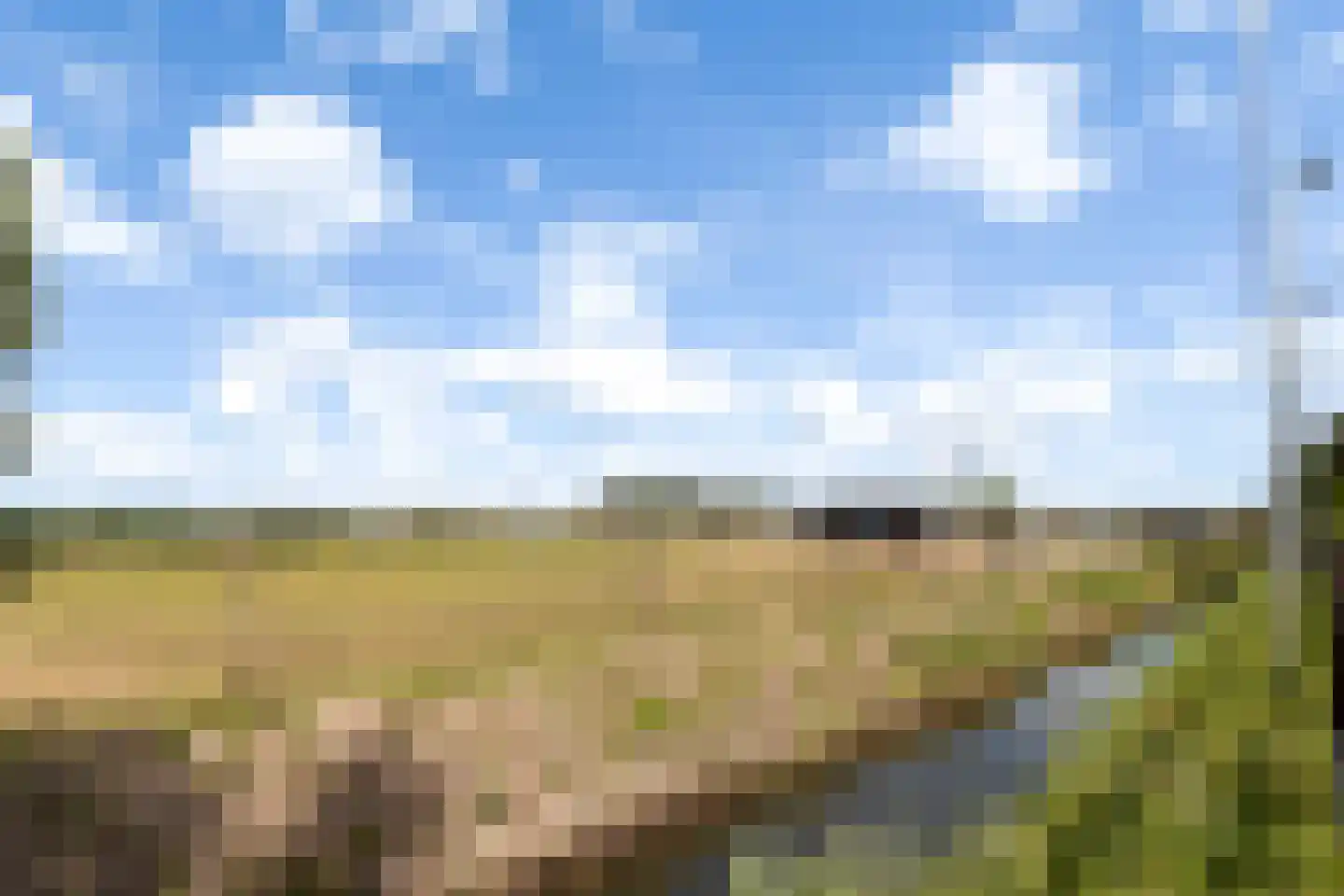 Hoge Zeedijk 56 Langeweg thumbnail 31