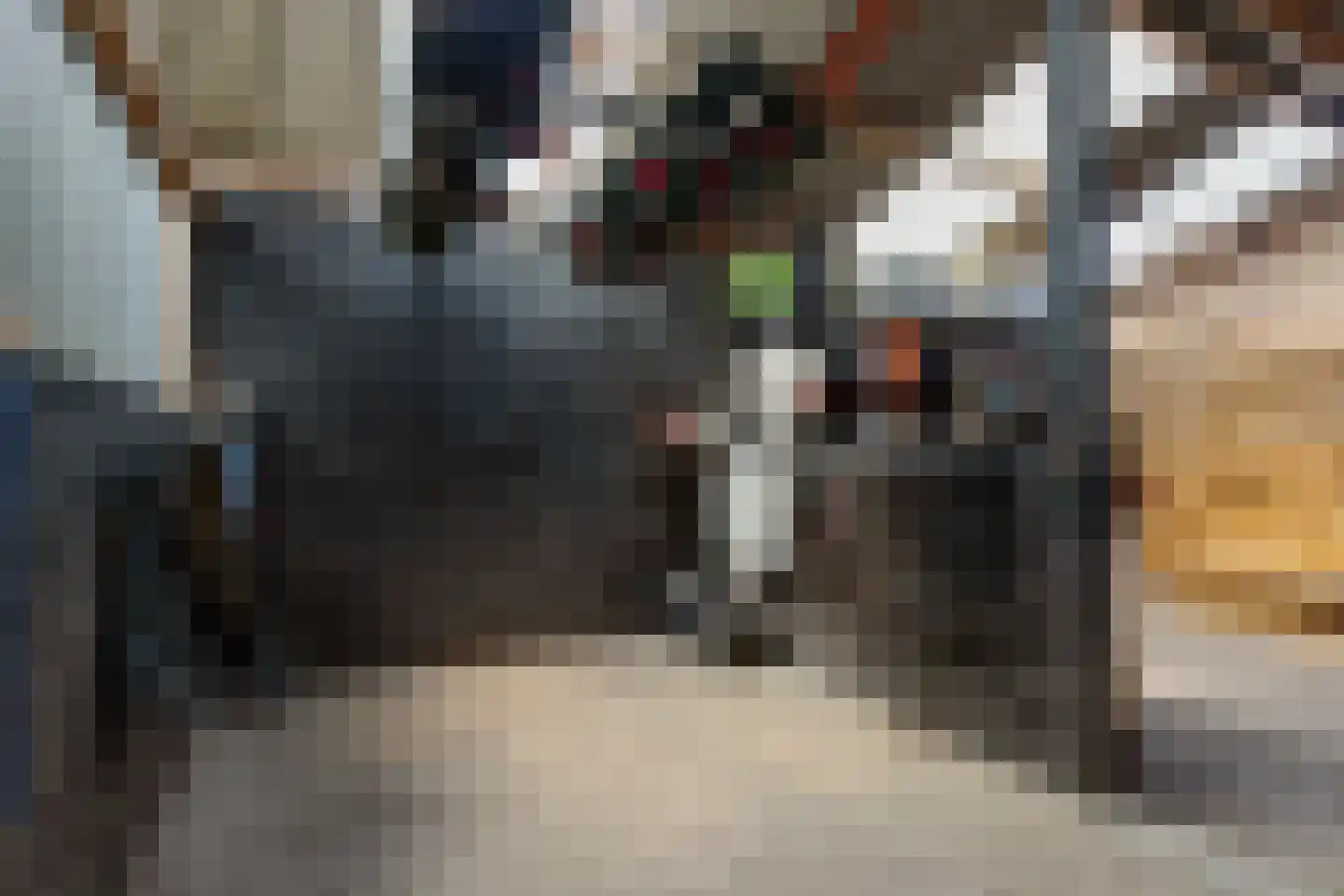 Hoge Zeedijk 56 Langeweg thumbnail 35