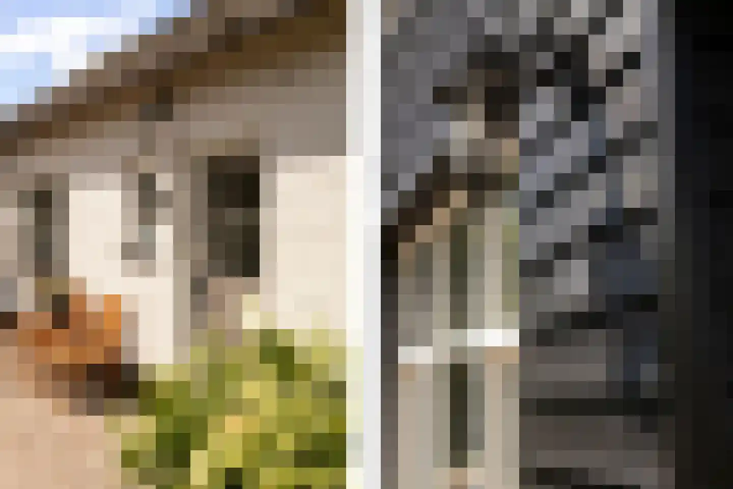 Hoge Zeedijk 56 Langeweg thumbnail 40