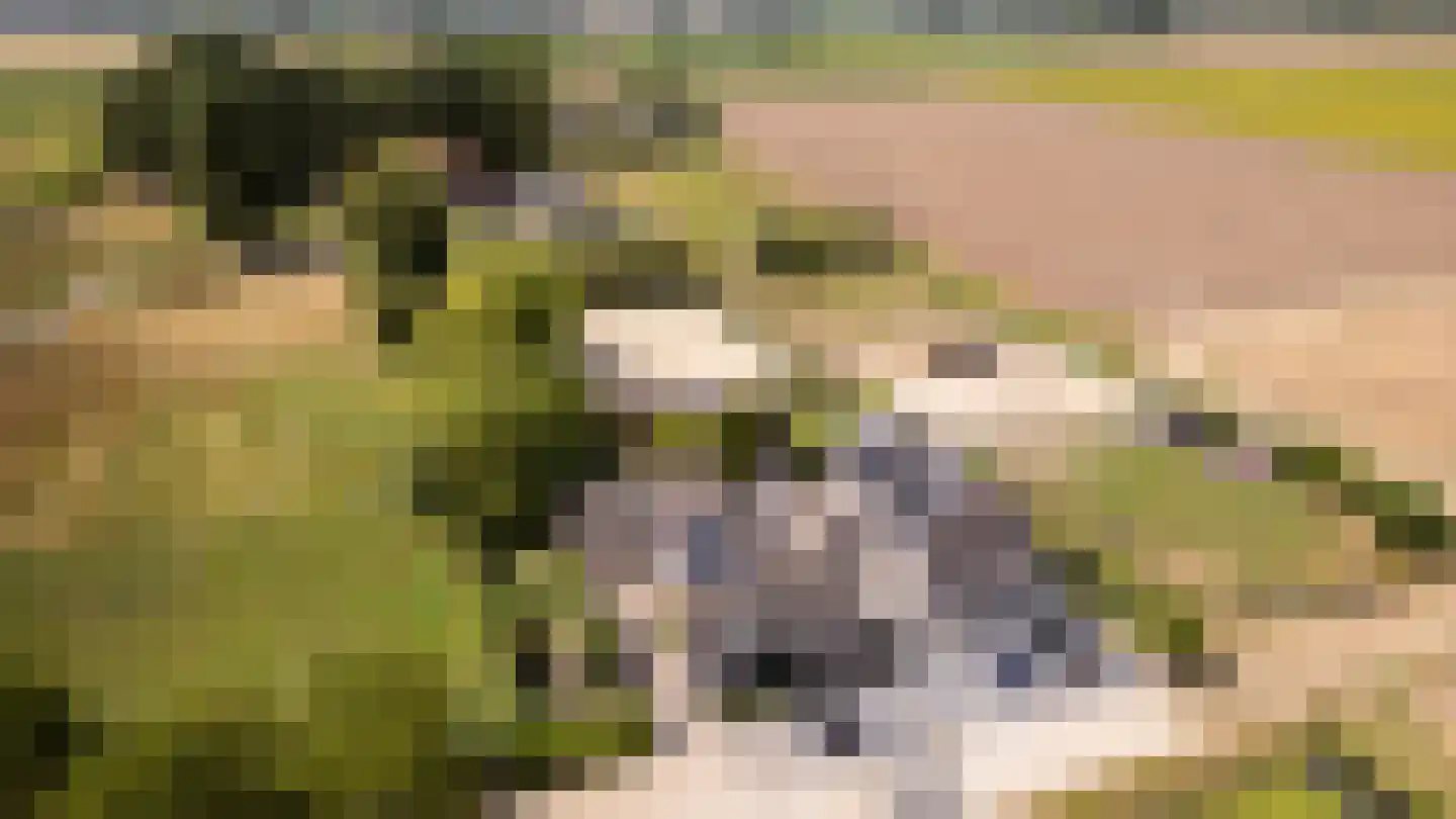 Hoge Zeedijk 56 Langeweg thumbnail 41