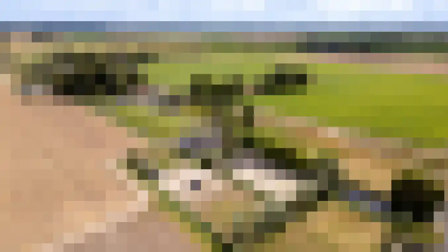 Hoge Zeedijk 56 Langeweg thumbnail 43