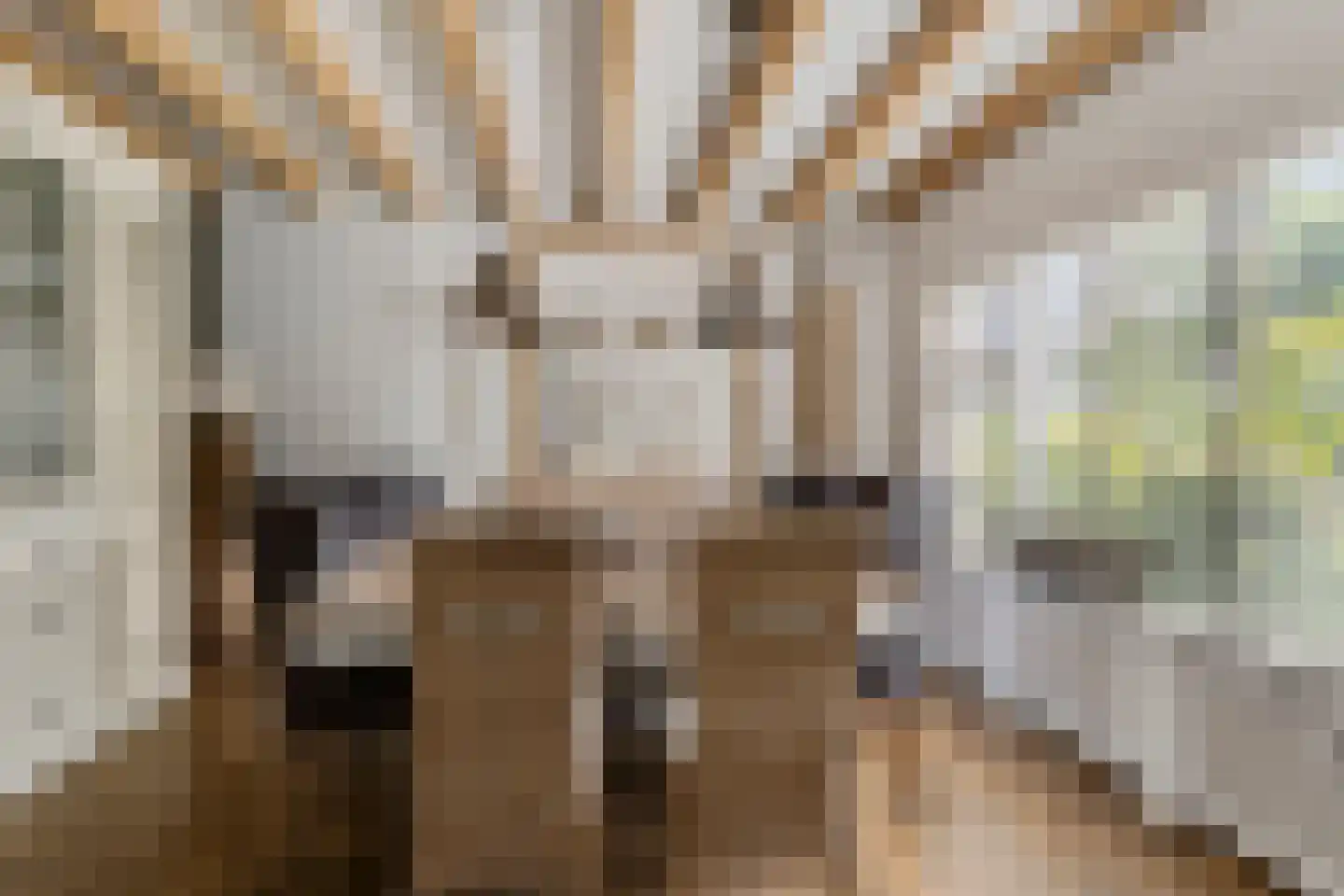 Hoge Zeedijk 56 Langeweg thumbnail 6