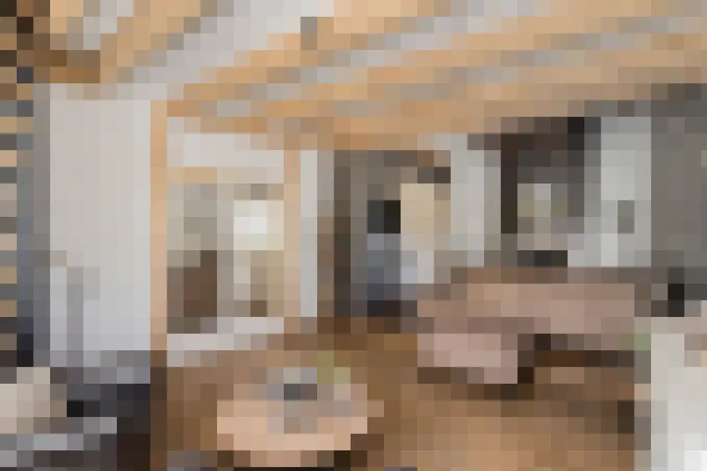 Hoge Zeedijk 56 Langeweg thumbnail 9