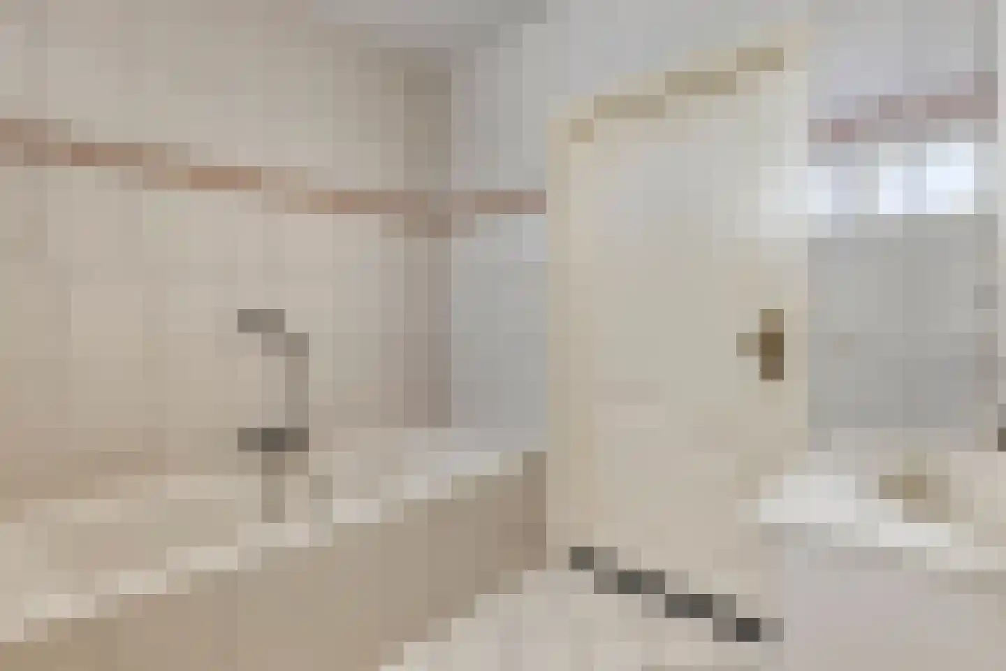 Hoge Zij 5 Helmond thumbnail 24