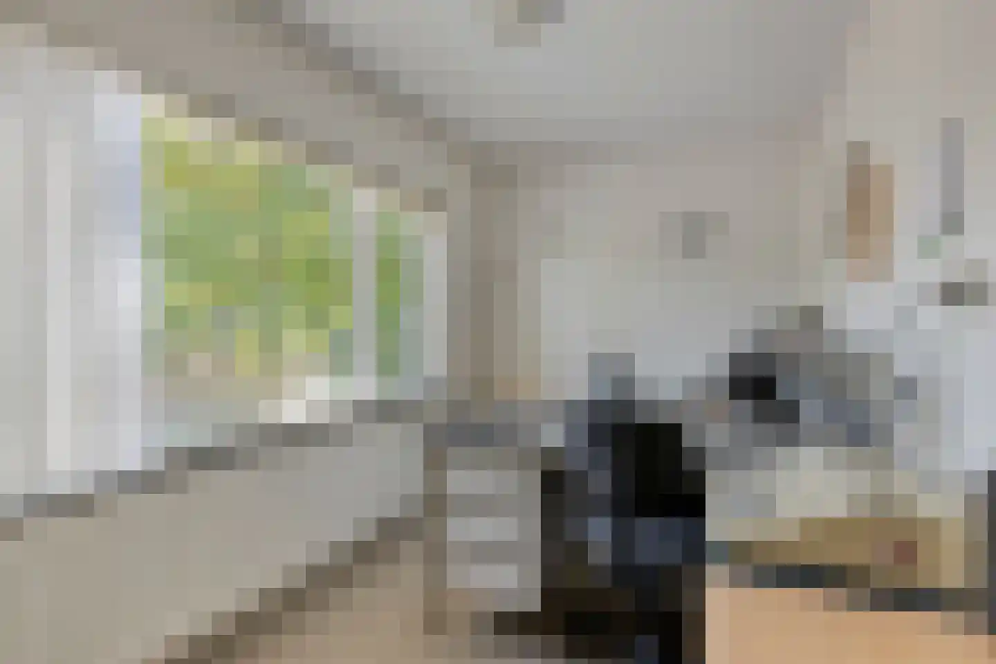 Hoge Zij 5 Helmond thumbnail 30