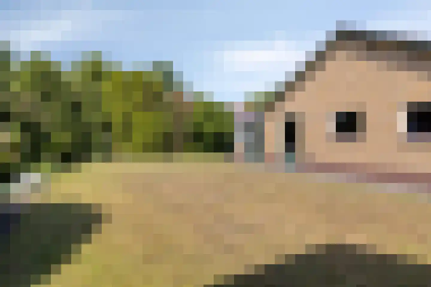 Hoge Zij 5 Helmond thumbnail 37