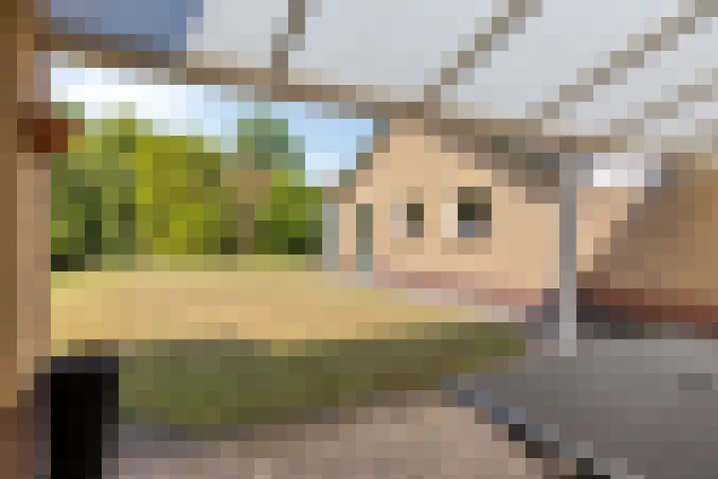 Hoge Zij 5 Helmond thumbnail 42