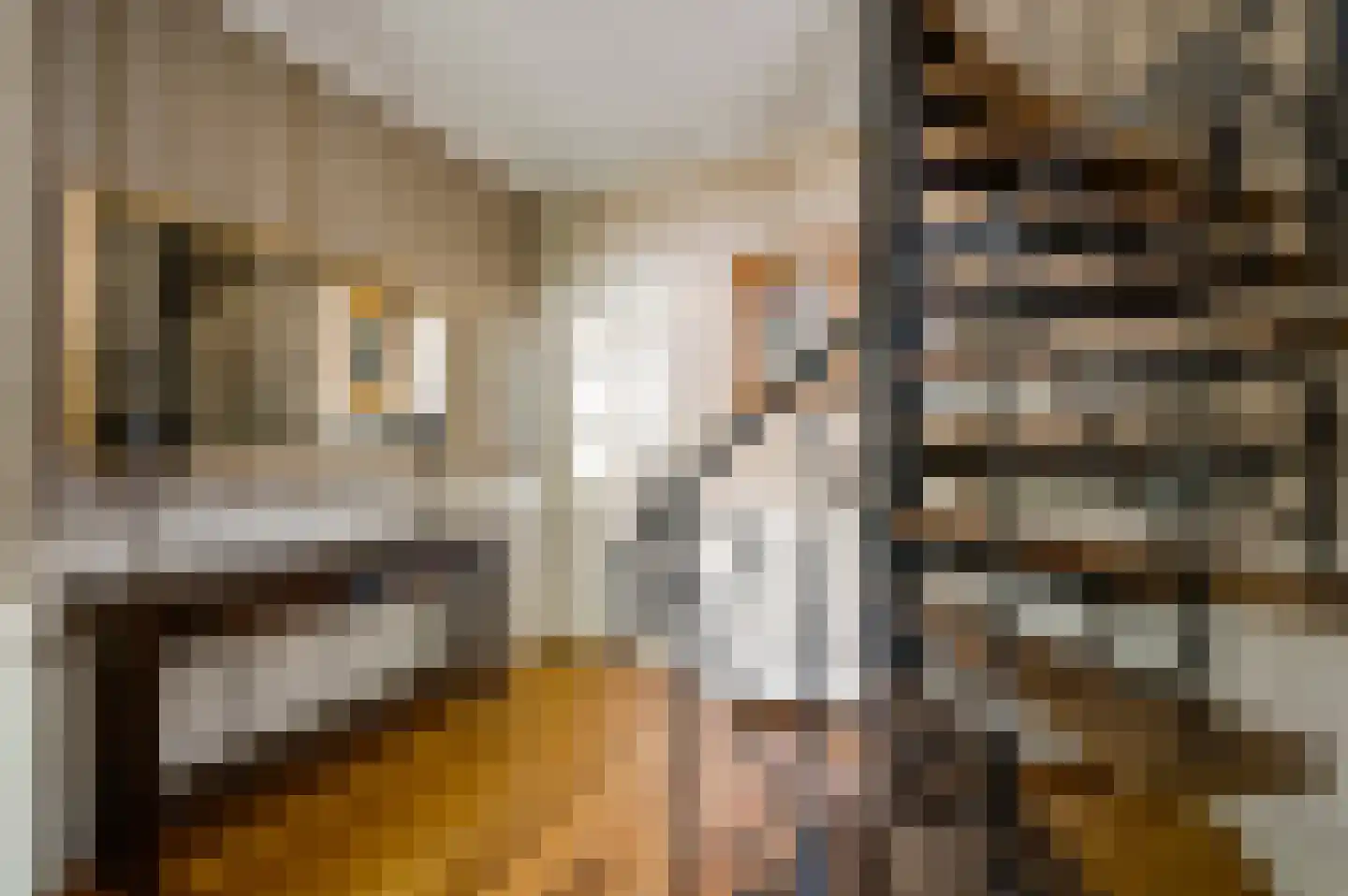 Hoge Zij 6 Helmond thumbnail 11