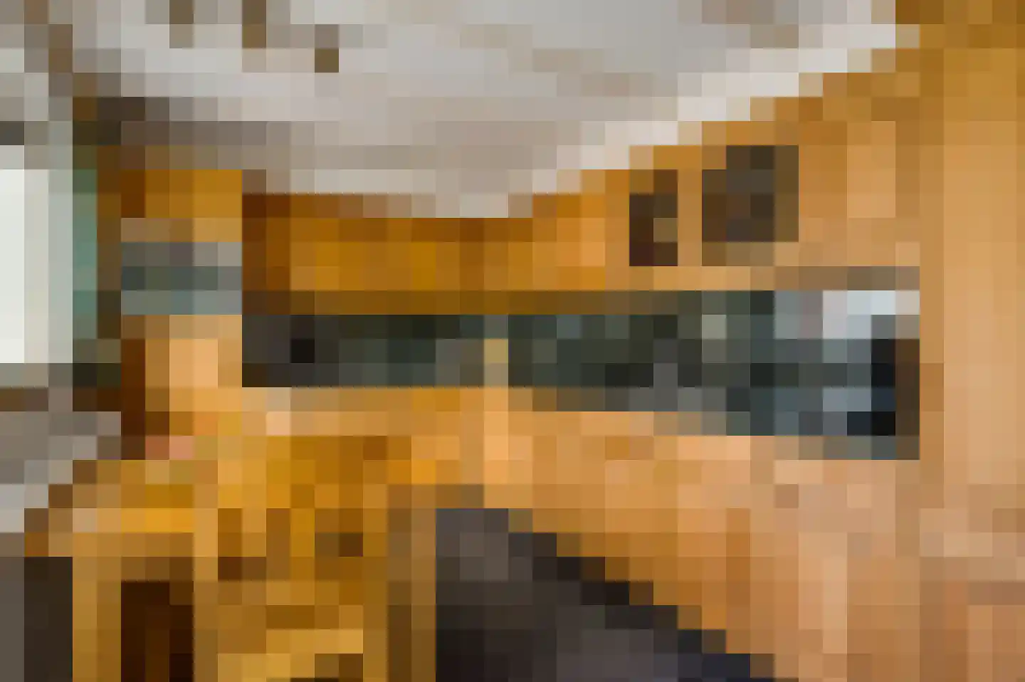 Hoge Zij 6 Helmond thumbnail 17