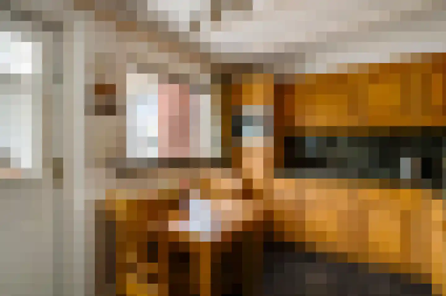 Hoge Zij 6 Helmond thumbnail 18