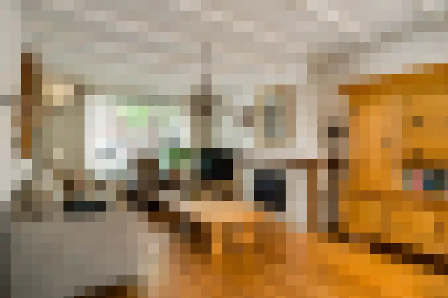 Hoge Zij 6 Helmond foto 2