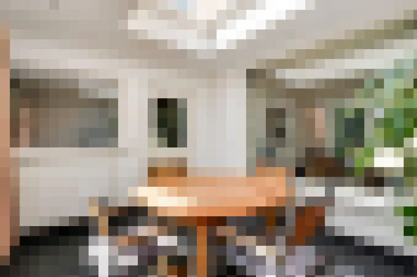 Hoge Zij 6 Helmond thumbnail 20