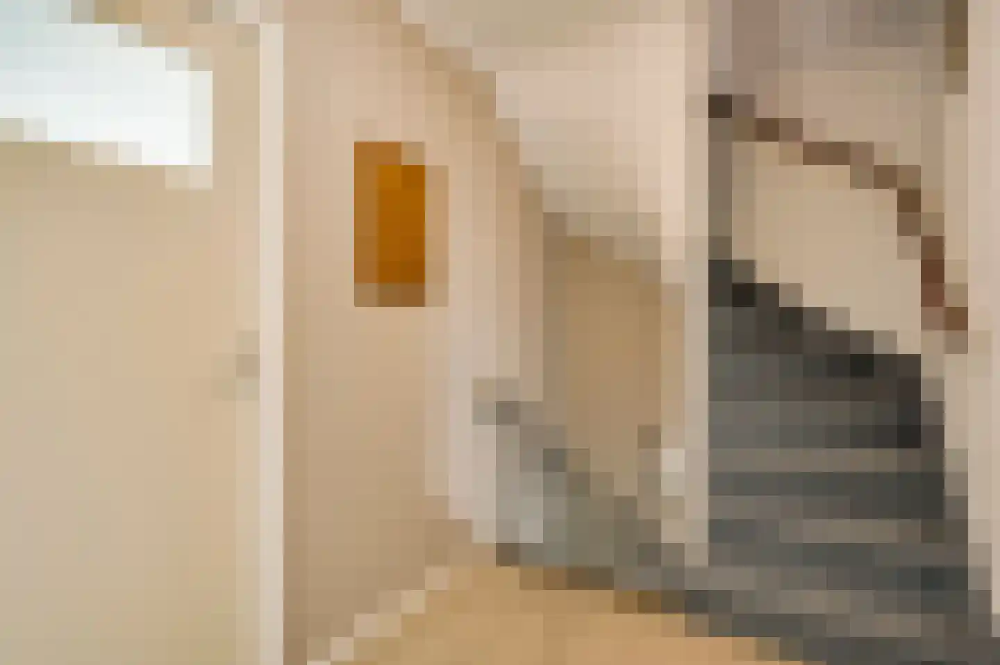 Hoge Zij 6 Helmond thumbnail 22