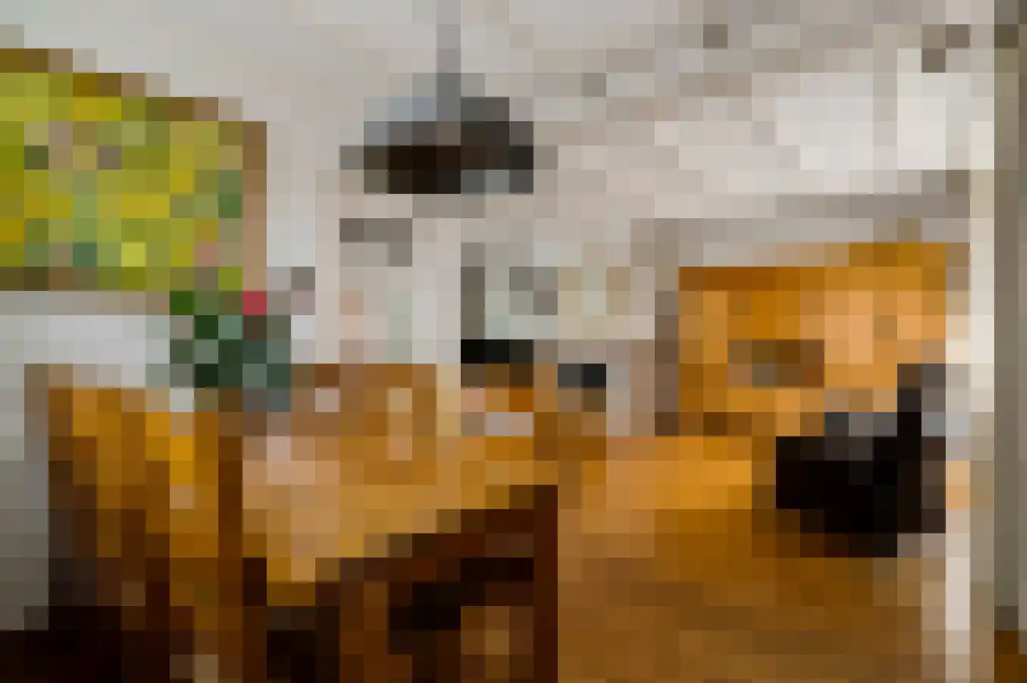 Hoge Zij 6 Helmond foto 3