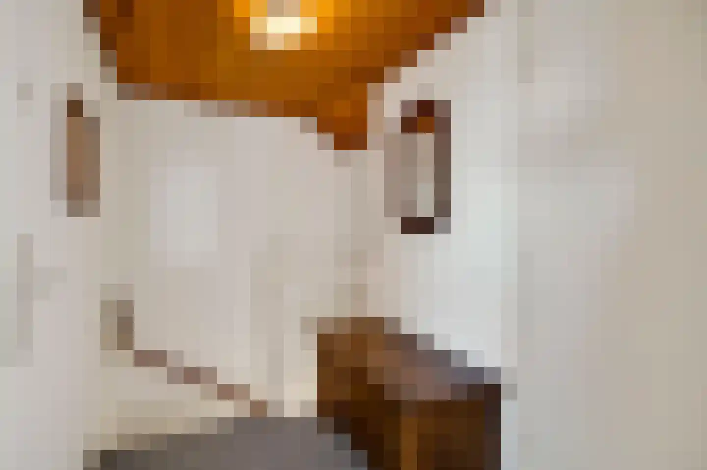 Hoge Zij 6 Helmond thumbnail 33