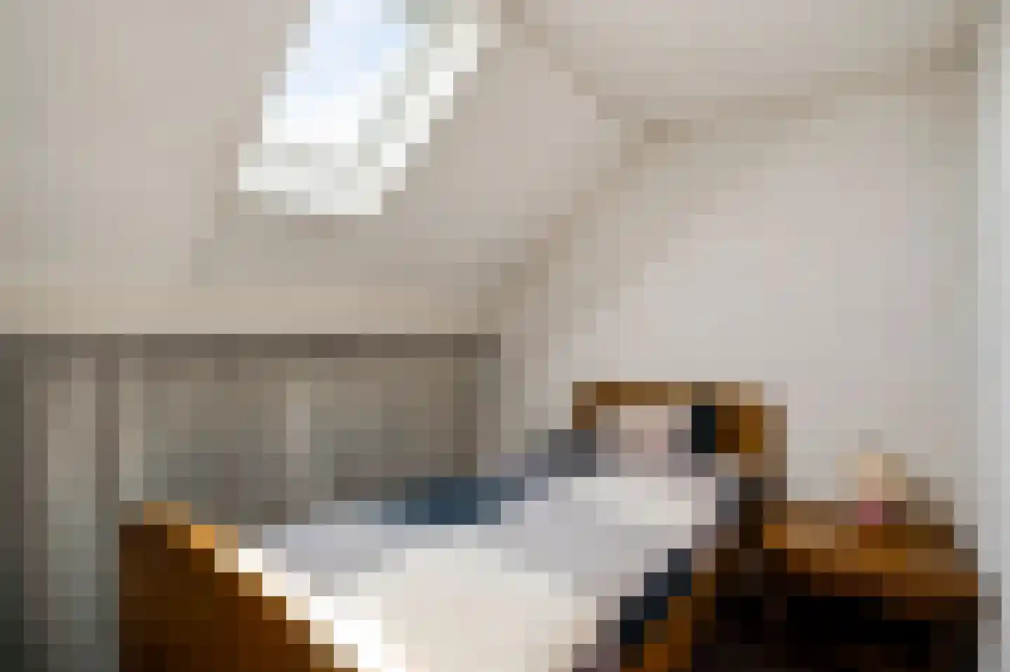 Hoge Zij 6 Helmond thumbnail 36